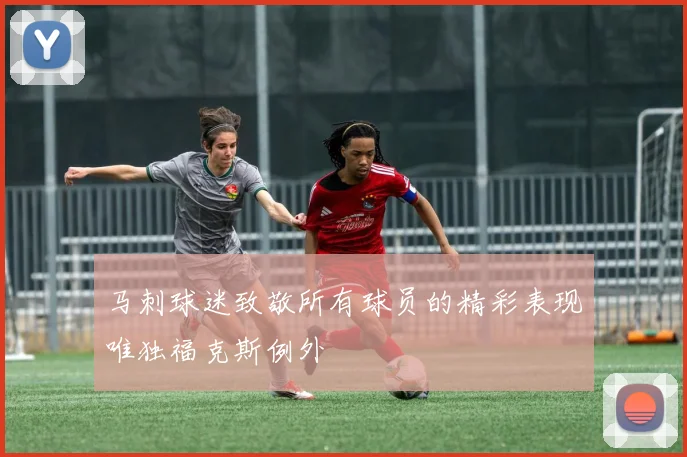 马刺球迷致敬所有球员的精彩表现唯独福克斯例外
